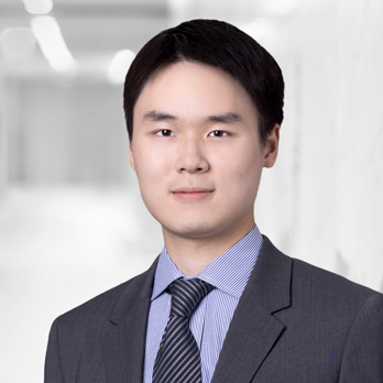 전문적인 이미지