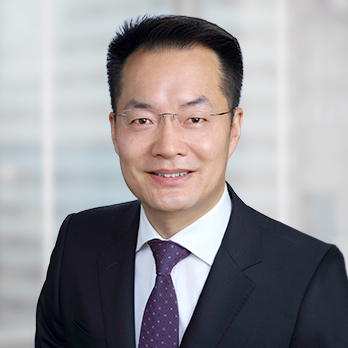 전문적인 이미지