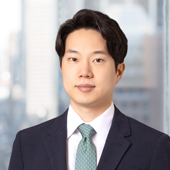 전문적인 이미지