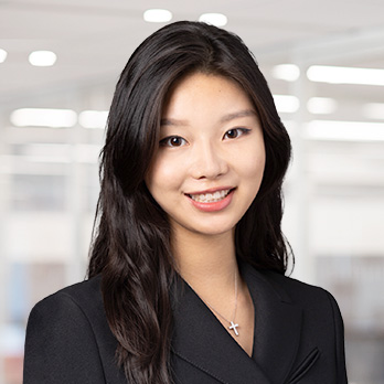 전문적인 이미지