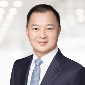 전문적인 이미지