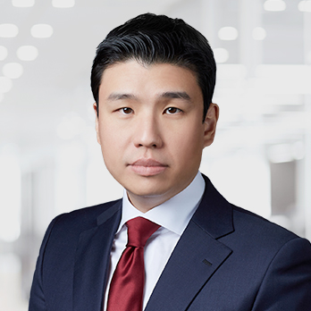 전문적인 이미지