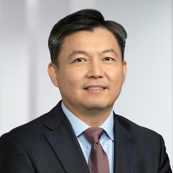 전문적인 이미지