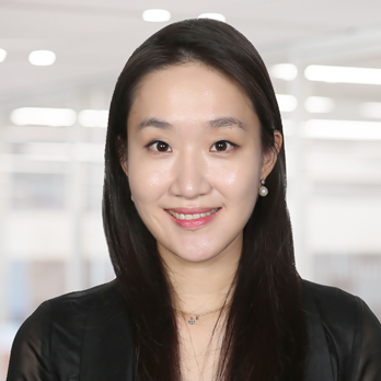 전문적인 이미지