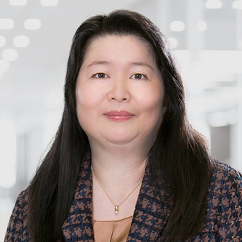전문적인 이미지