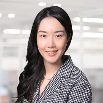 전문적인 이미지